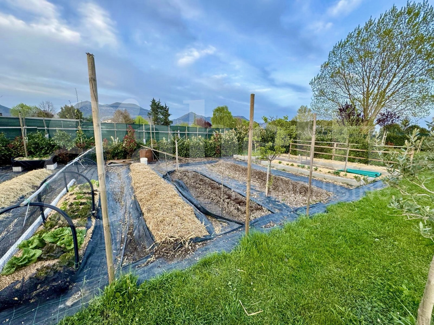 immagine annuncio 7 di 10