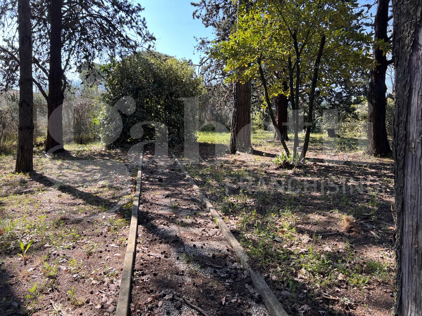 immagine annuncio 4 di 10