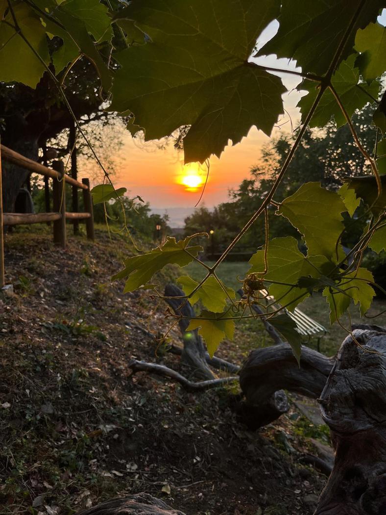 Casa indipendente in affitto a Gubbio