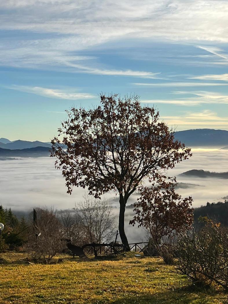 Casa indipendente in affitto a Gubbio