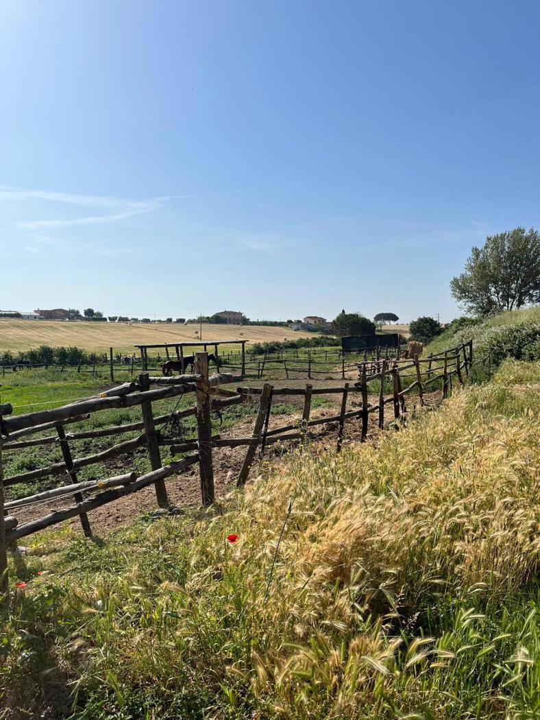 Casa indipendente in affitto a Gubbio