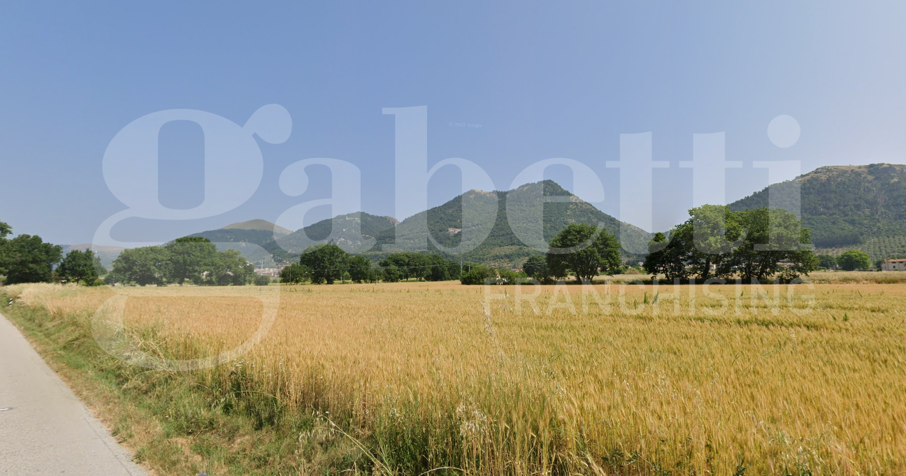 immagine annuncio 2 di 4