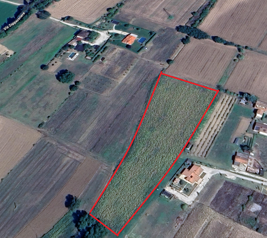 immagine annuncio 1 di 4