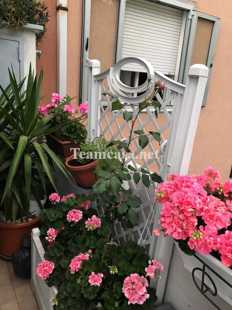 Bilocale con terrazzo a Pesaro