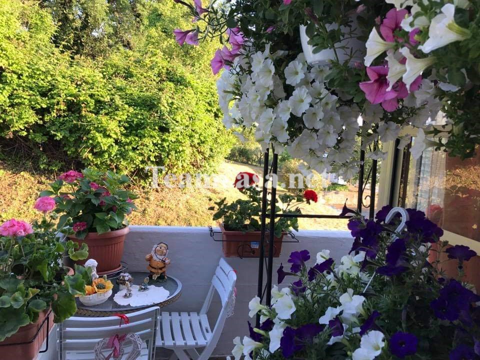 Bilocale con terrazzo a Pesaro