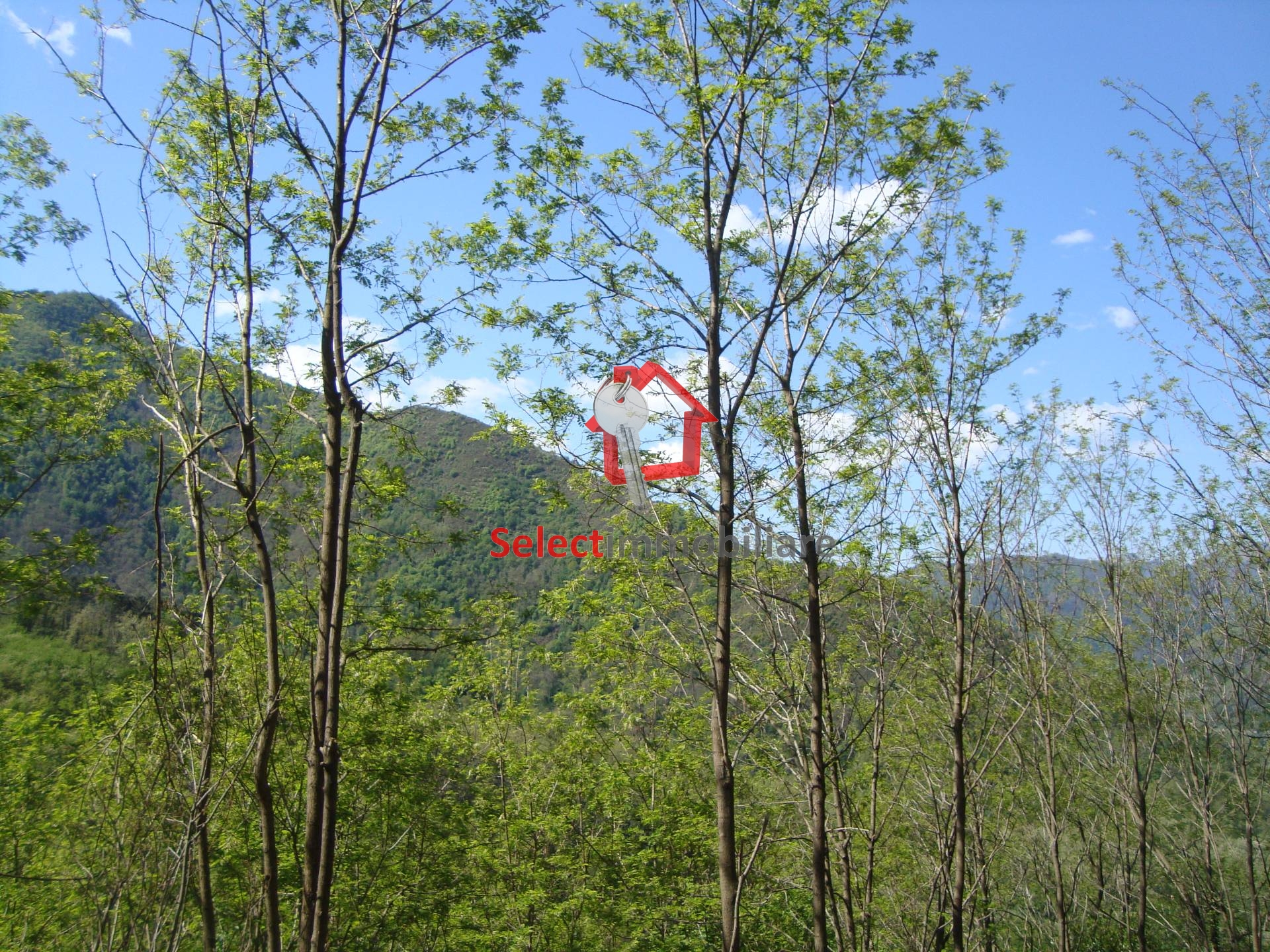 Rustico in vendita a Borgo a Mozzano, Corsagna