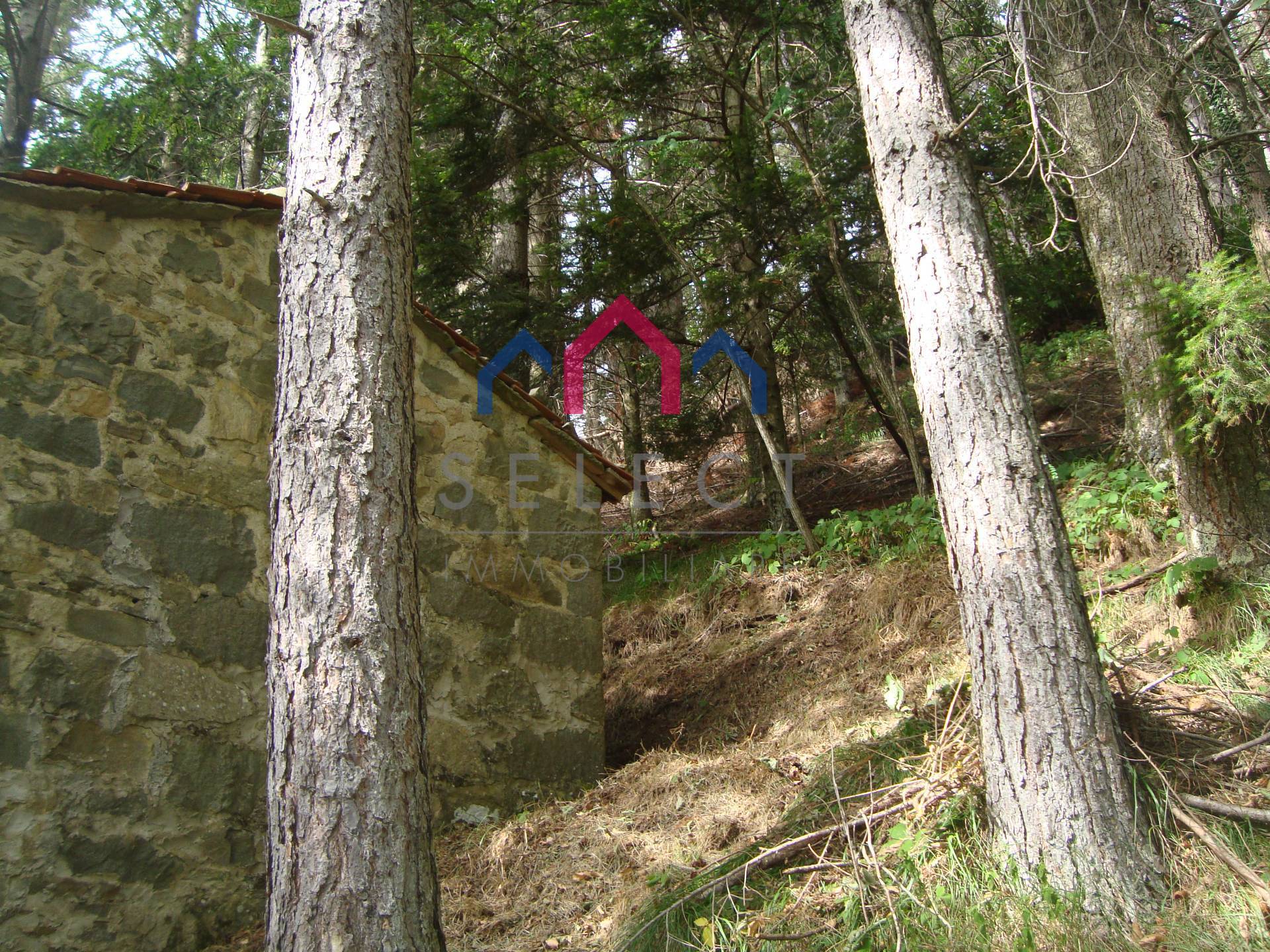 Rustico in vendita a Coreglia Antelminelli