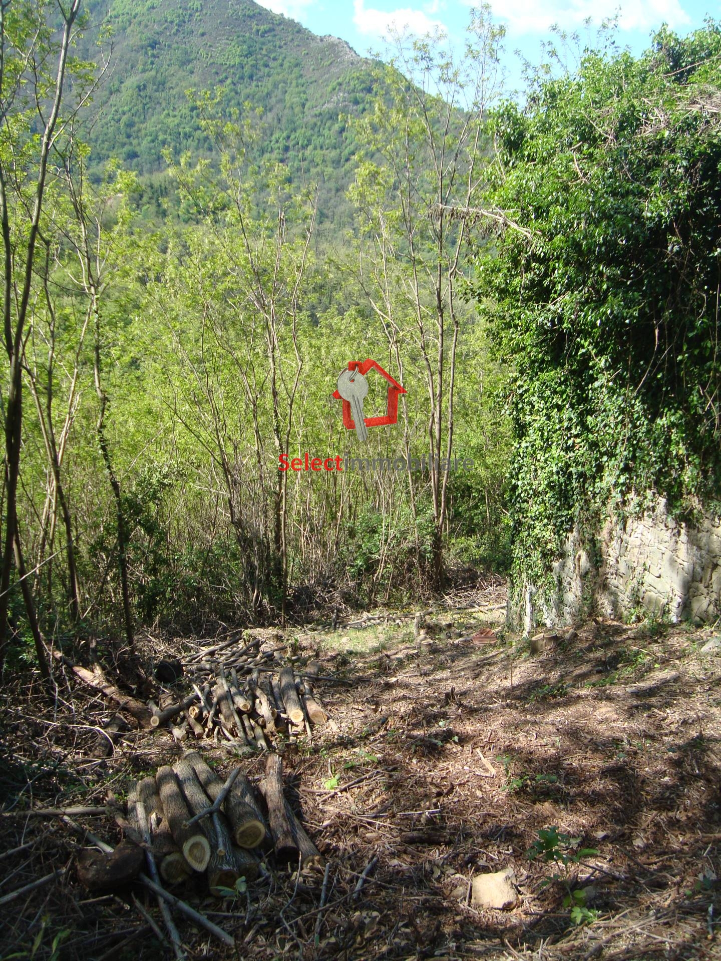 Rustico in vendita a Borgo a Mozzano, Corsagna