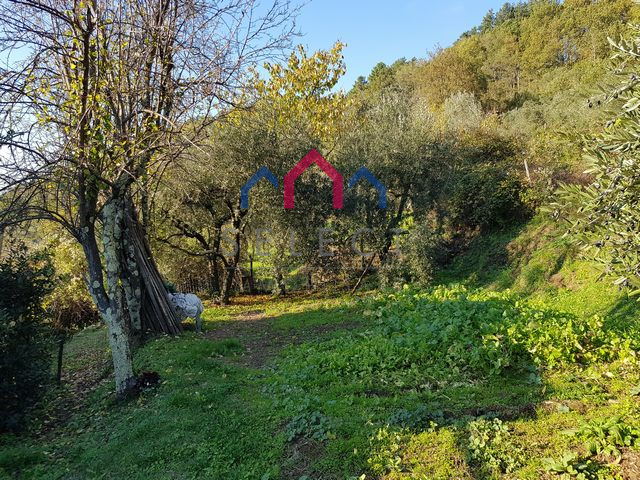 Rustico in vendita a Bagni di Lucca, Benabbio