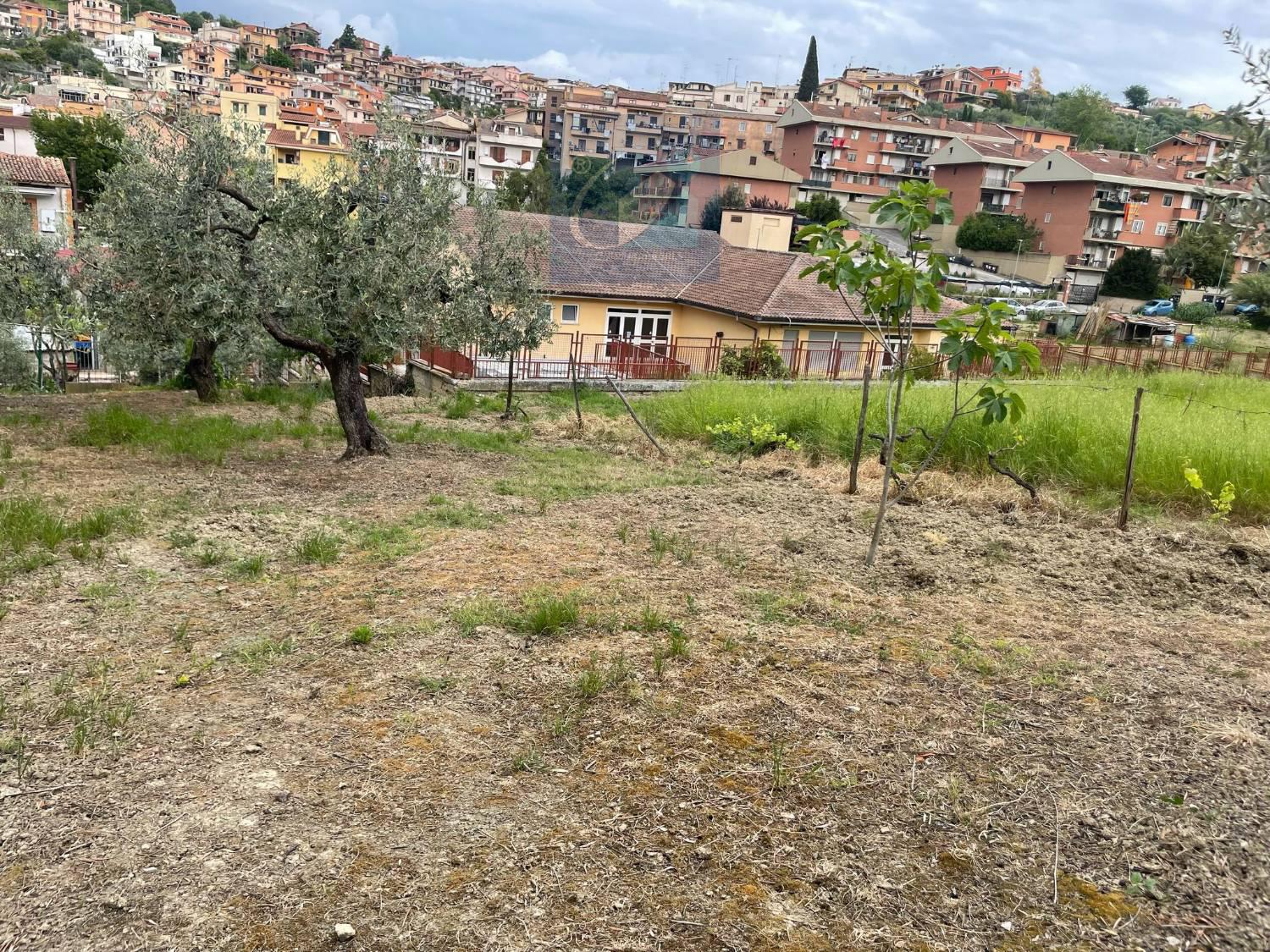 immagine annuncio 4 di 6