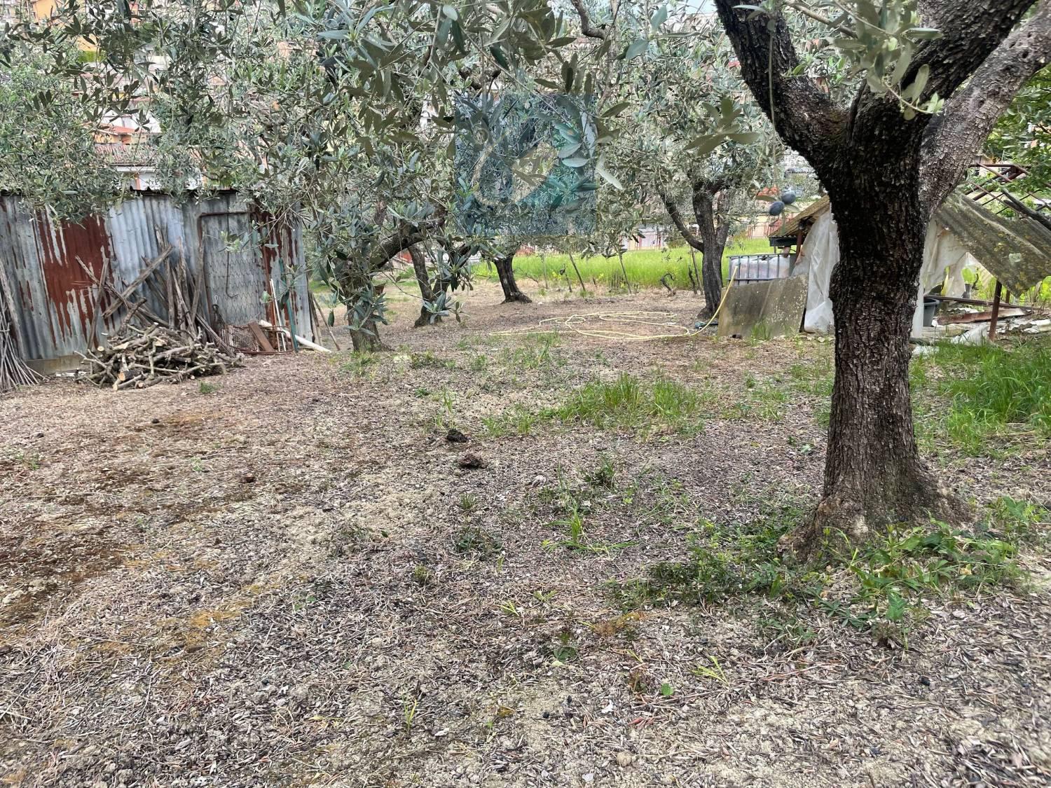 immagine annuncio 5 di 6