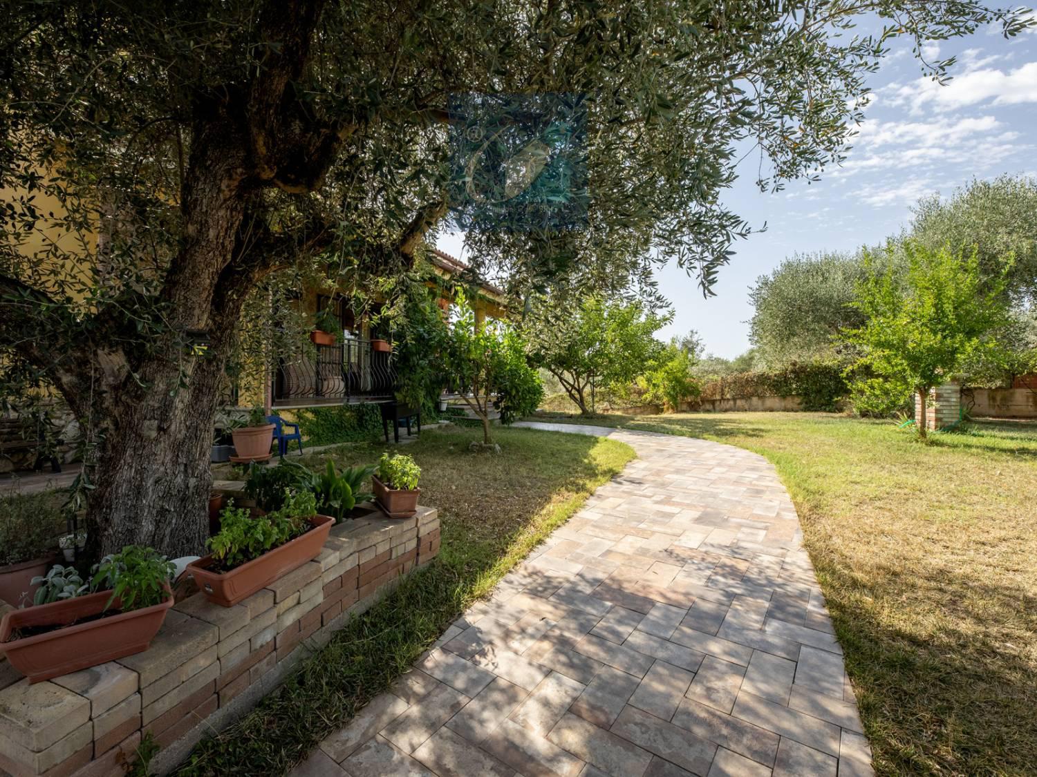 Villa con giardino a Montelibretti