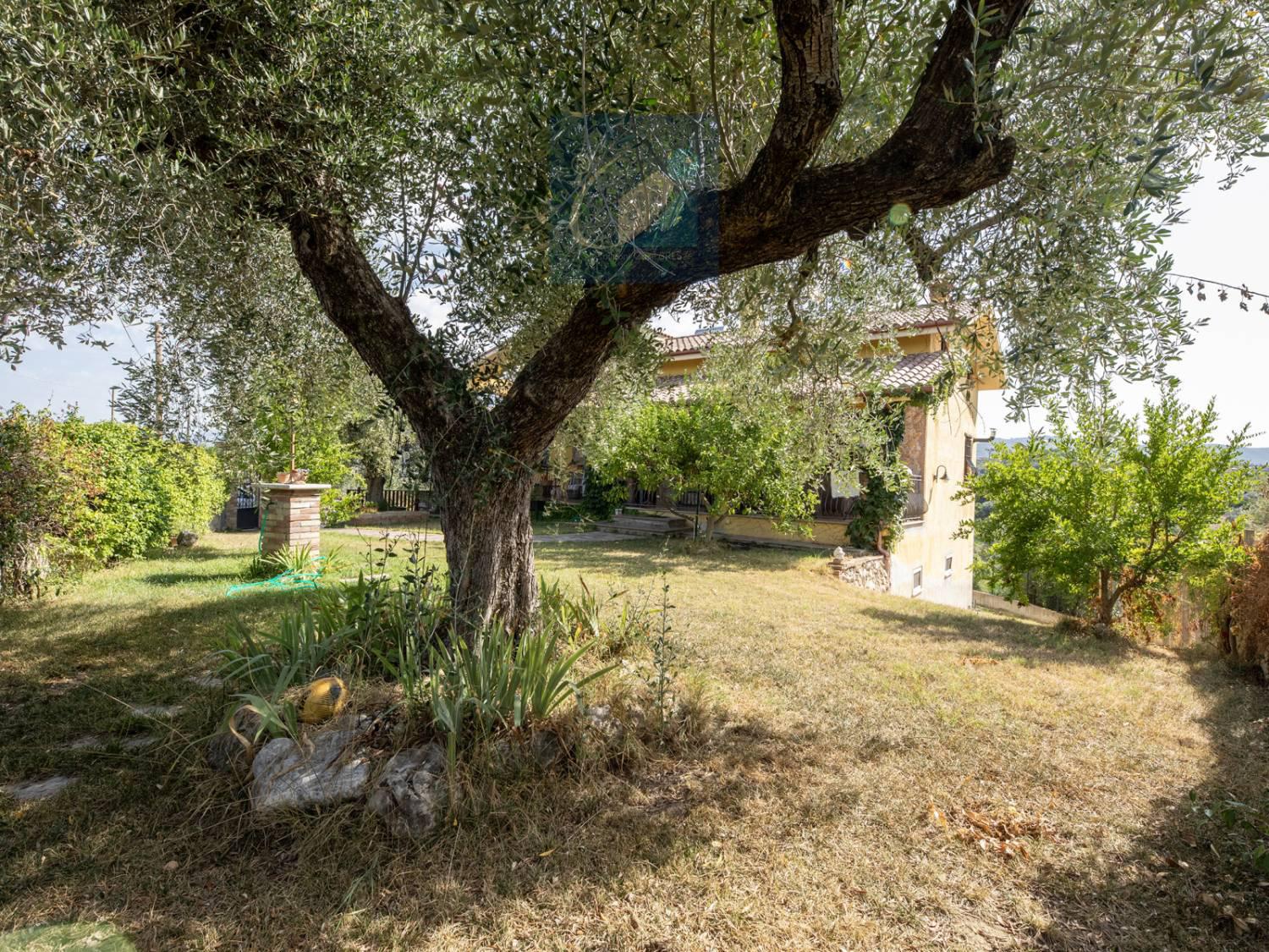 Villa con giardino a Montelibretti