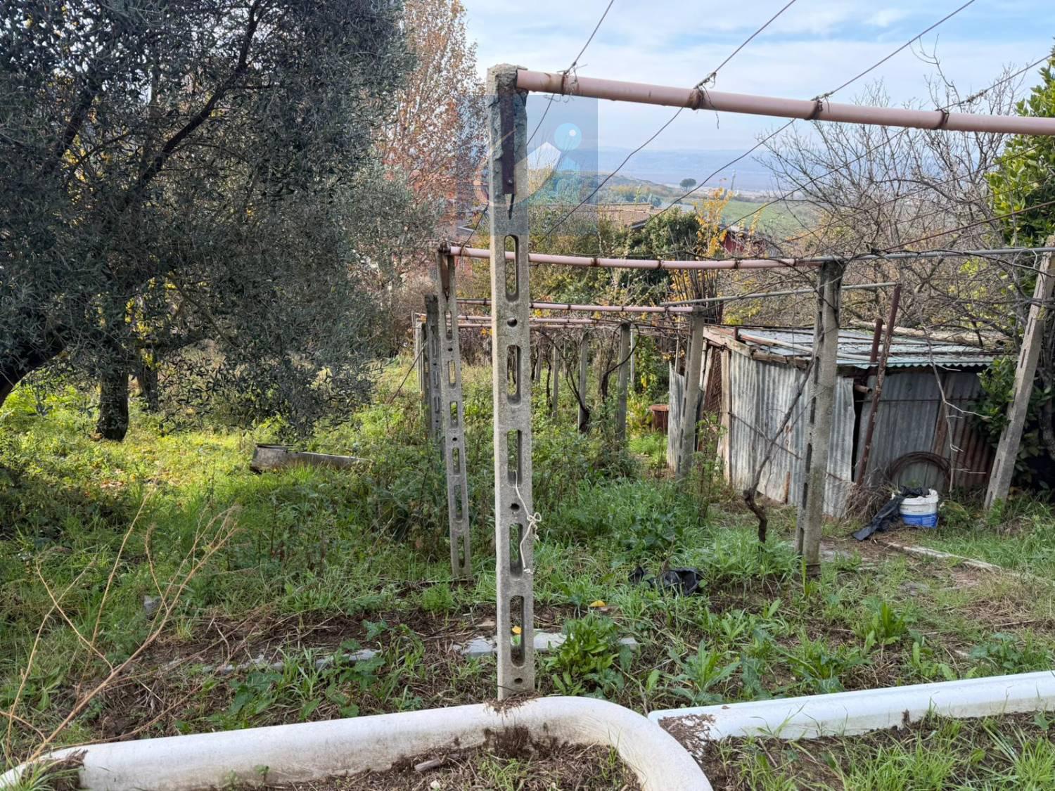 Bilocale con giardino a Monterotondo