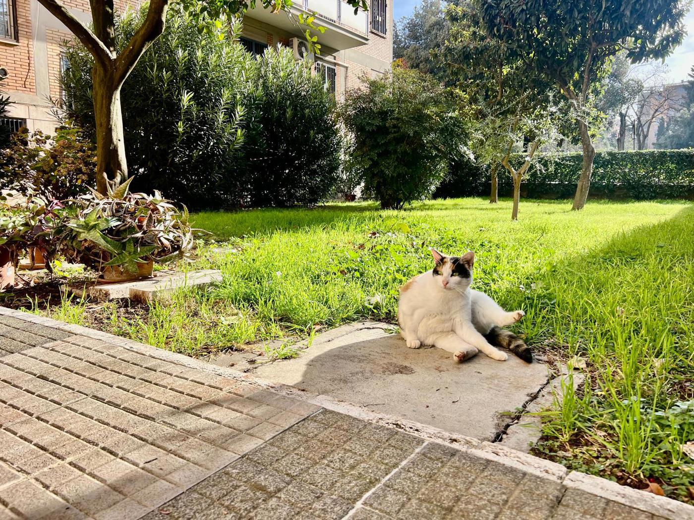 Trilocale con box a Roma