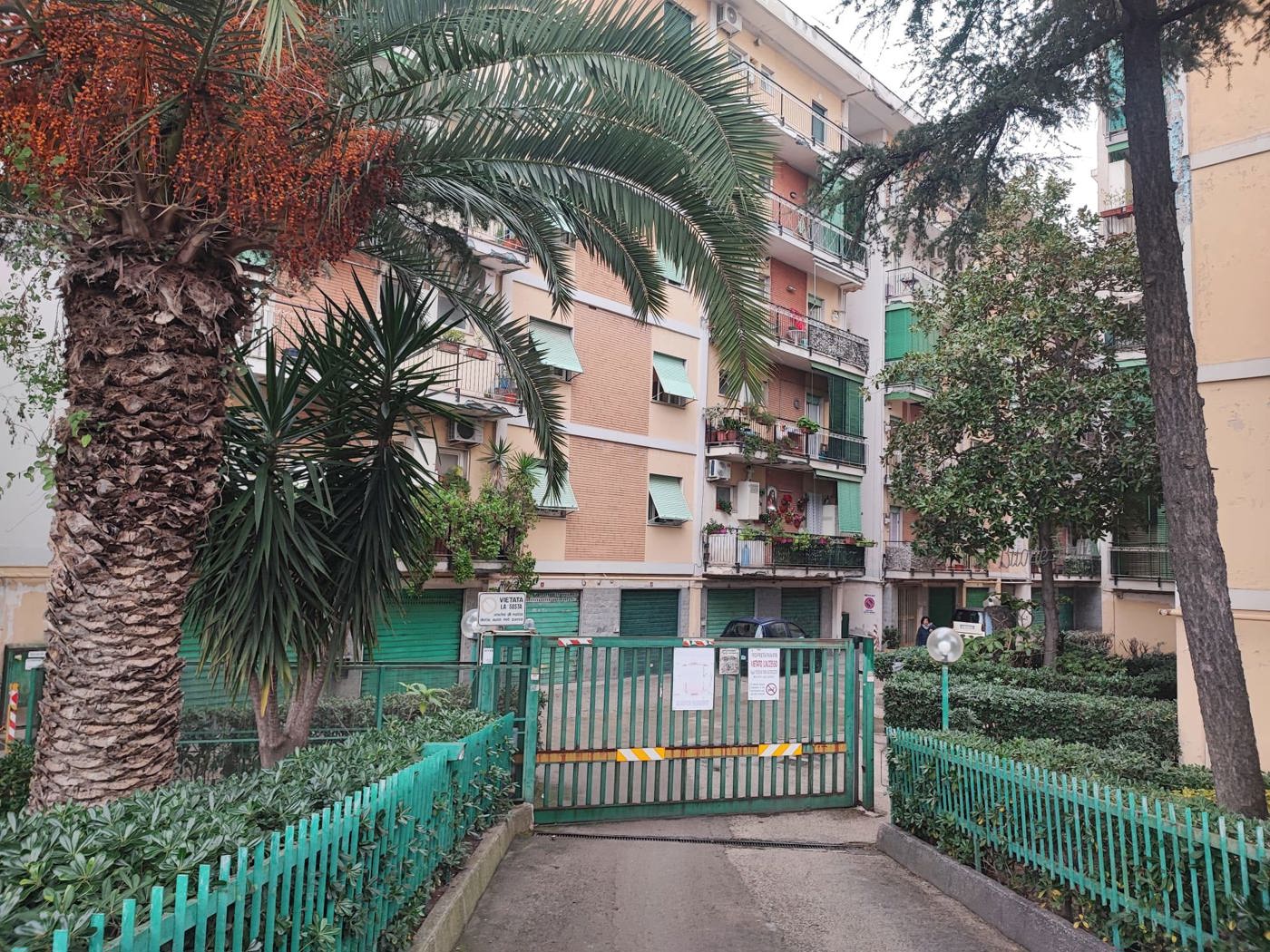 immagine annuncio 1 di 10