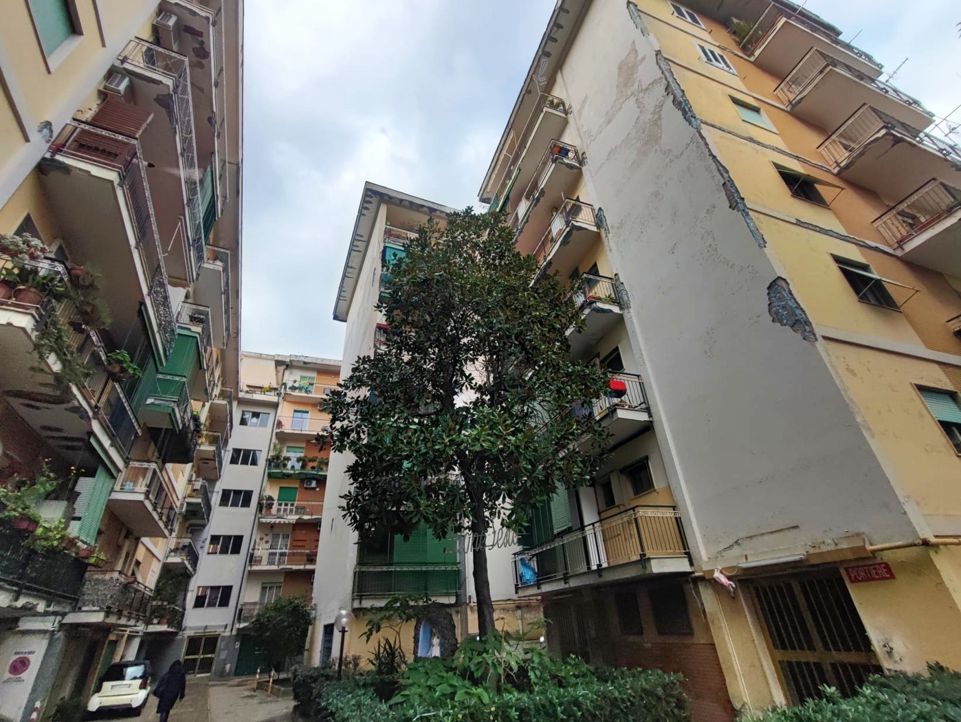 immagine annuncio 8 di 10