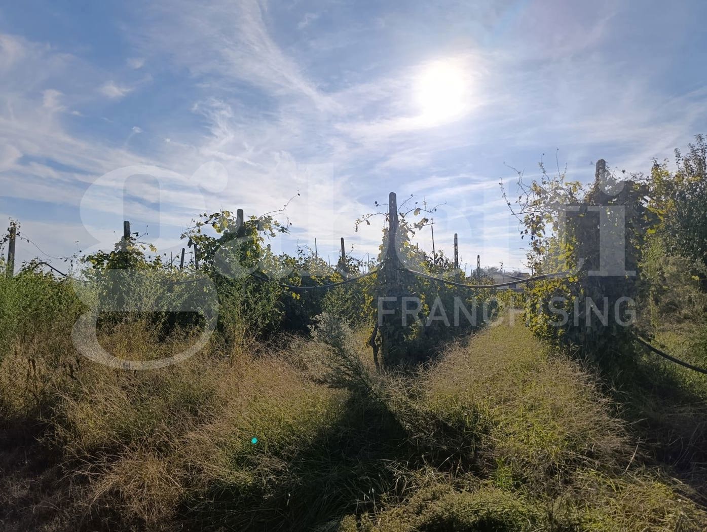 Casa indipendente in vendita a Giugliano in Campania