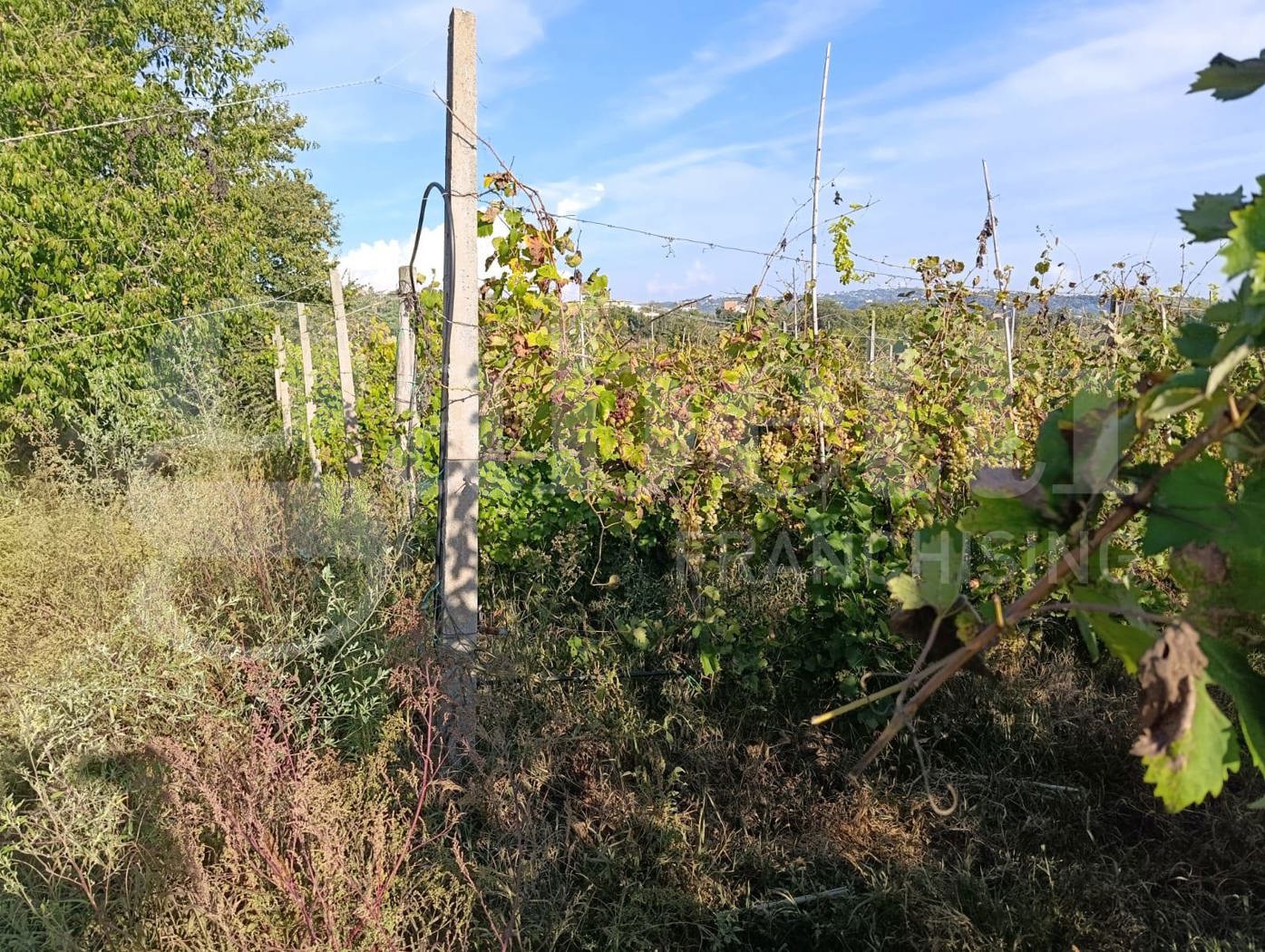 Casa indipendente in vendita a Giugliano in Campania