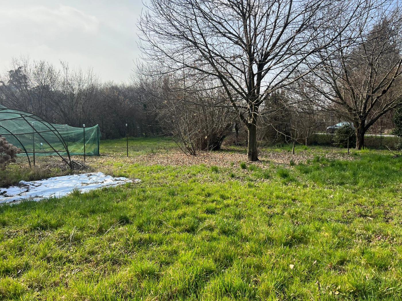 Terreno Edificabile in vendita a Giussano