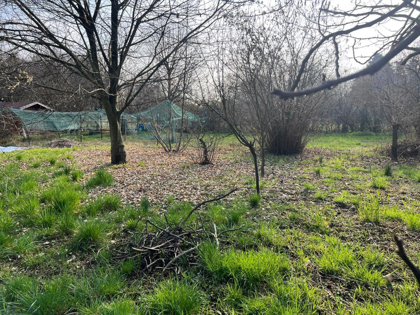 Terreno Edificabile in vendita a Giussano