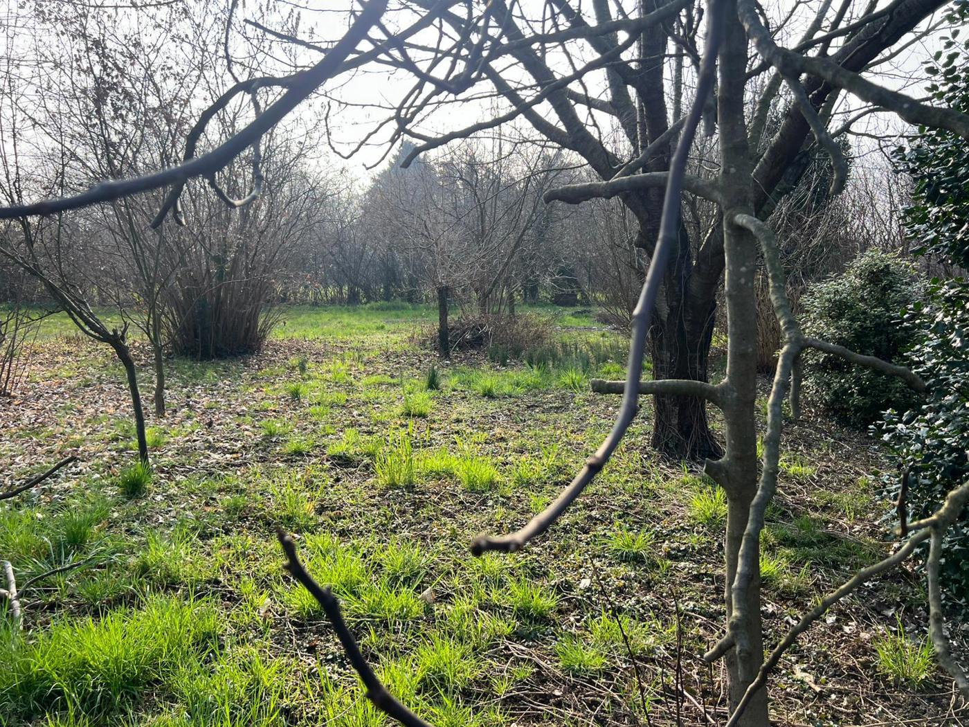 Terreno Edificabile in vendita a Giussano