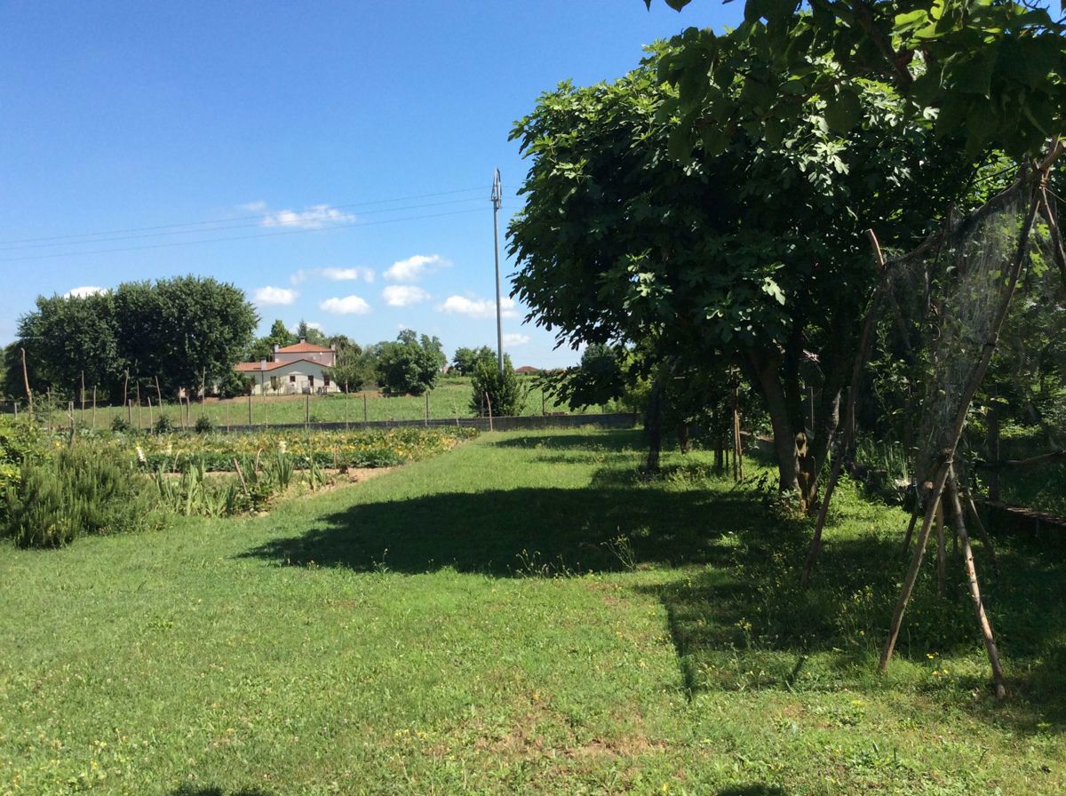 Stabile/Palazzo in vendita a Gavello