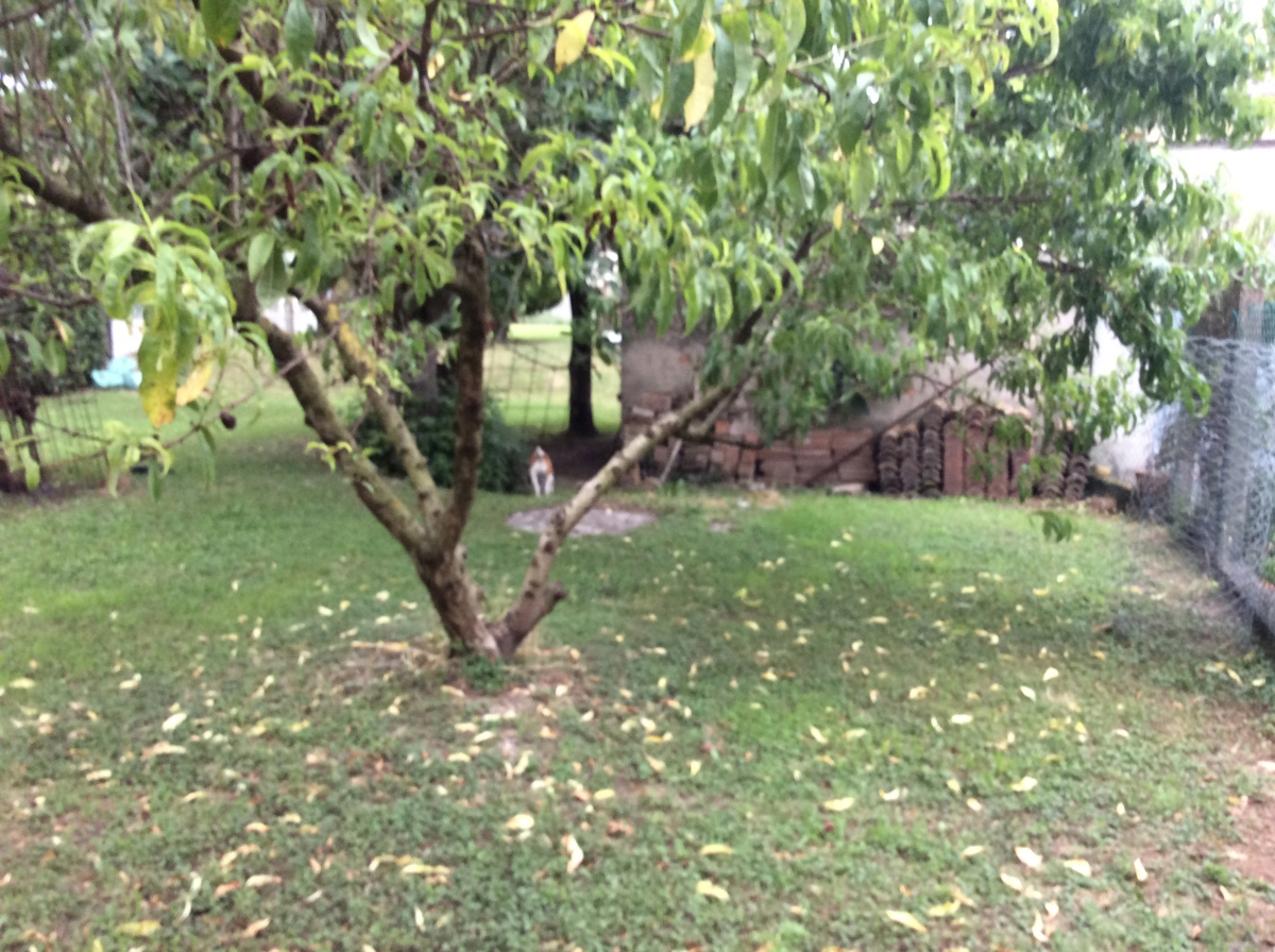 Rustico con giardino a Gavello