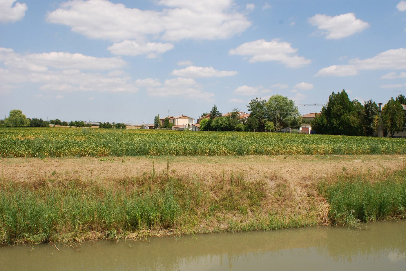 Terreno Edificabile in vendita a Villamarzana