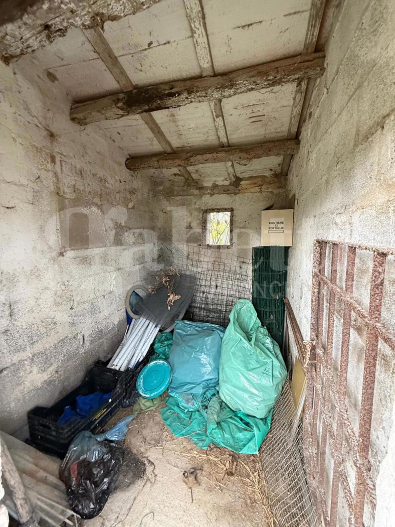 Rustico da ristrutturare a Fratta Polesine