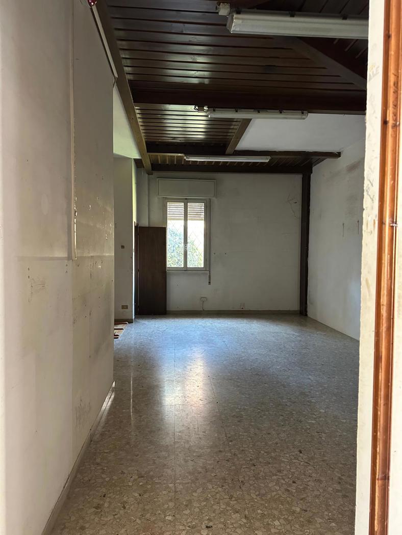 Negozio in affitto a Rovigo