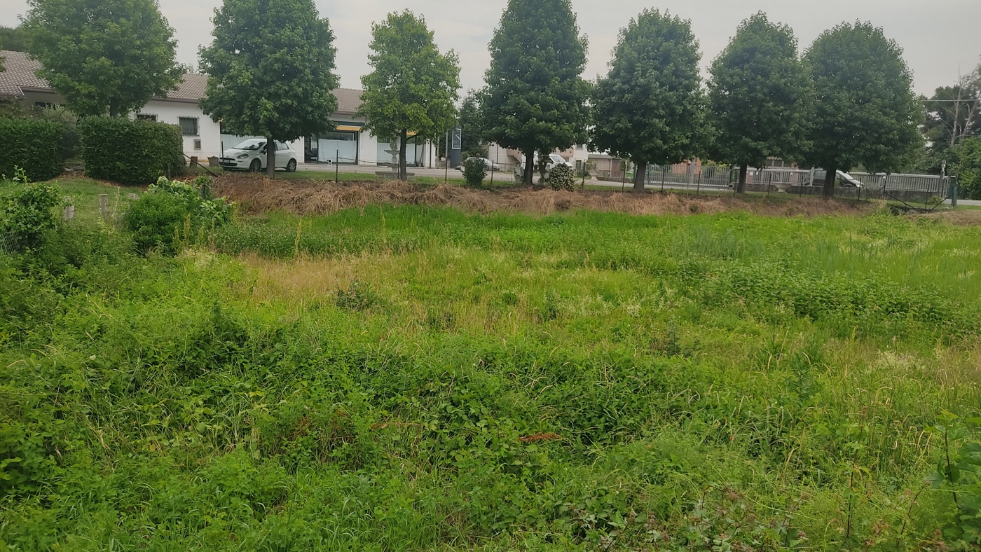 Terreno Edificabile in vendita a Gavello