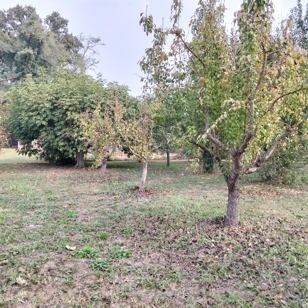 Villa con giardino a Arqu� Polesine