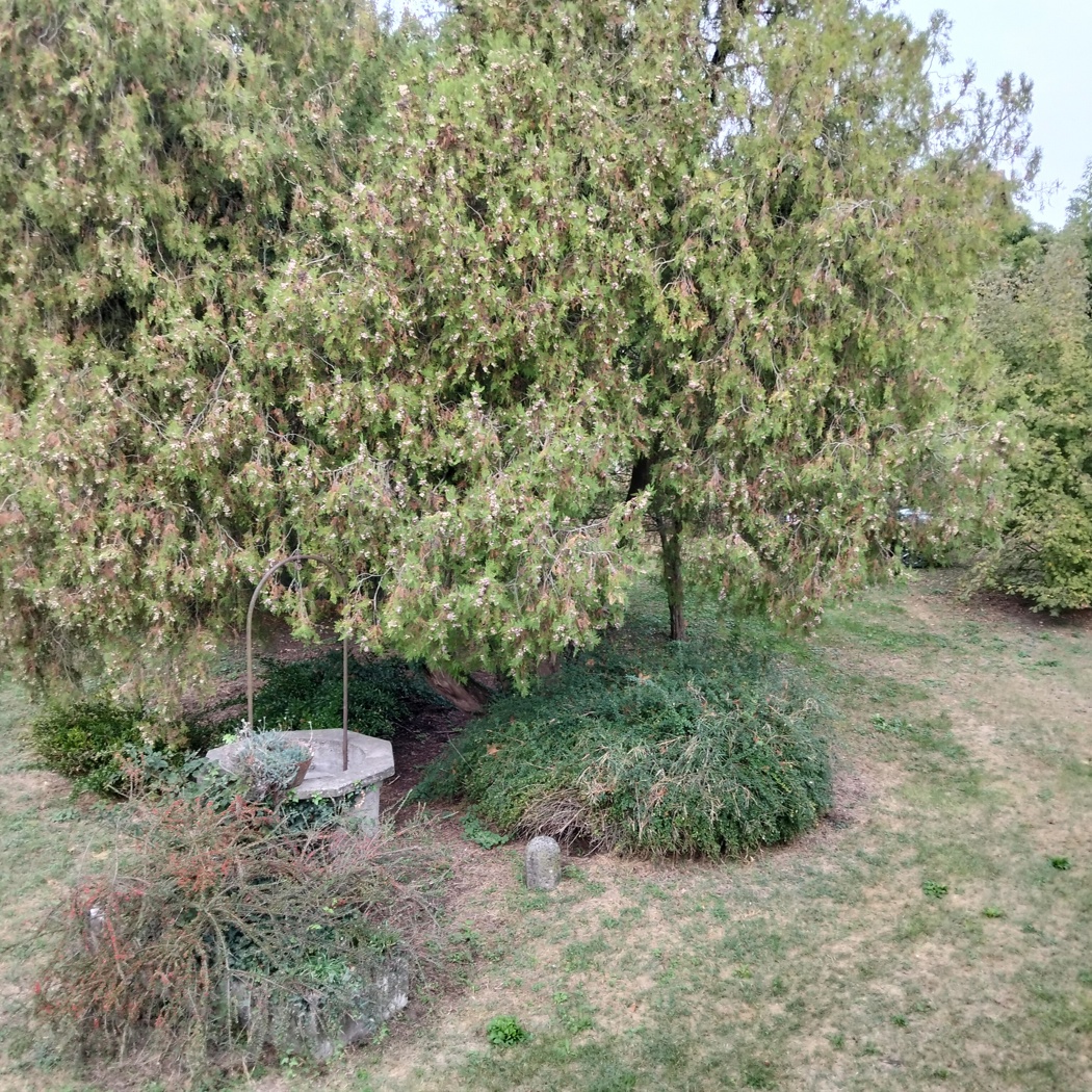 Villa con giardino a Arqu� Polesine