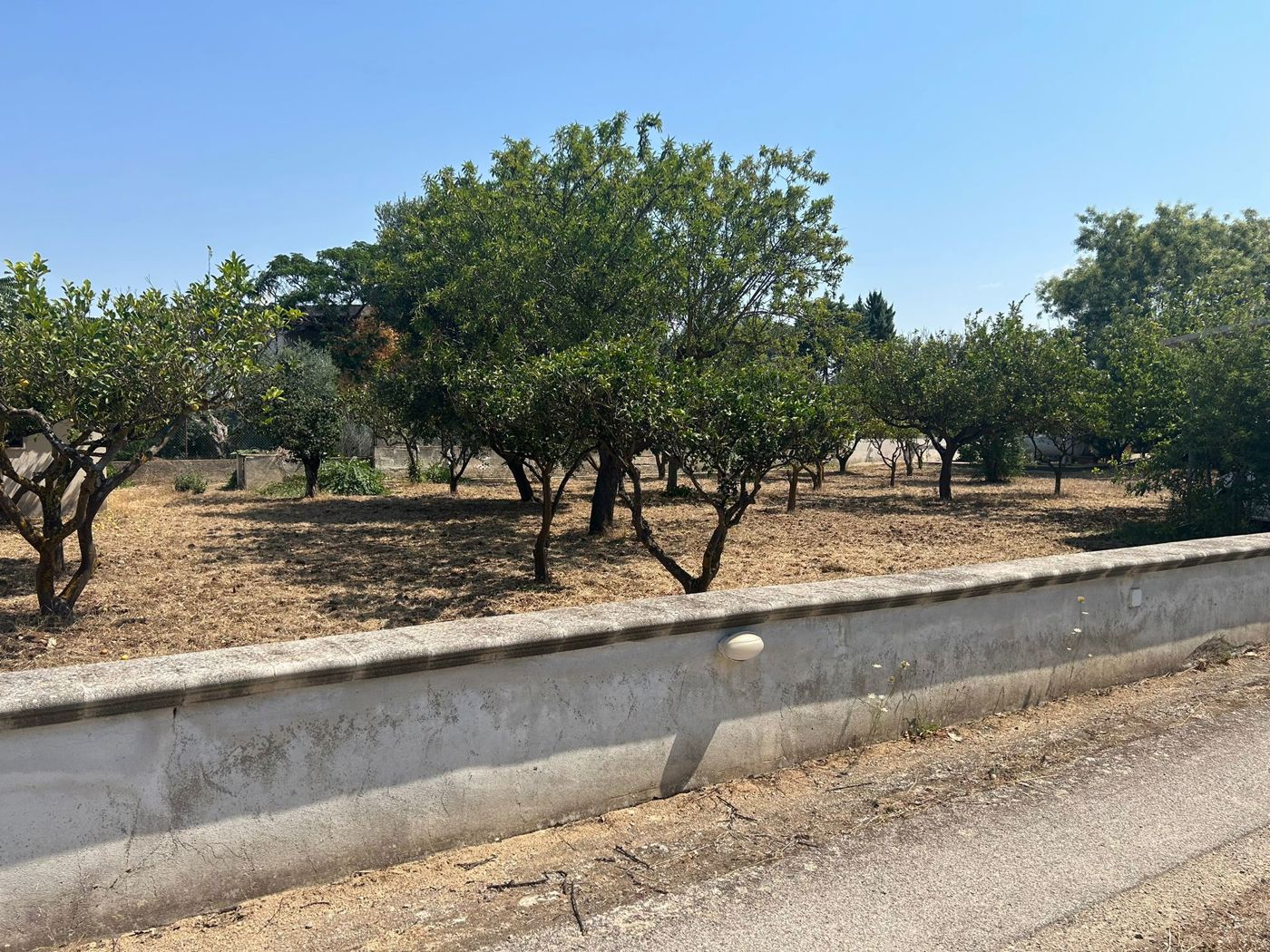 Terreno Edificabile in vendita a Leporano