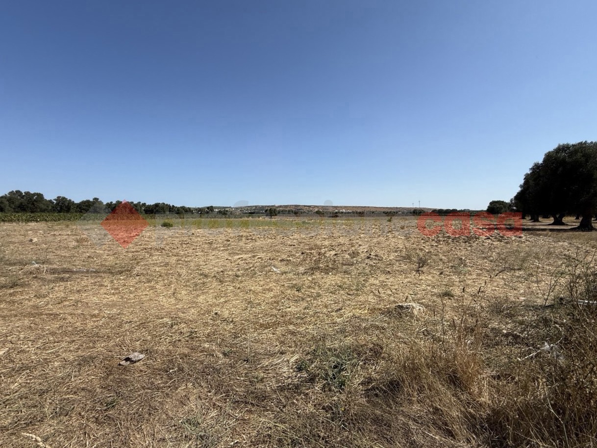 Terreno Agricolo in vendita a Faggiano