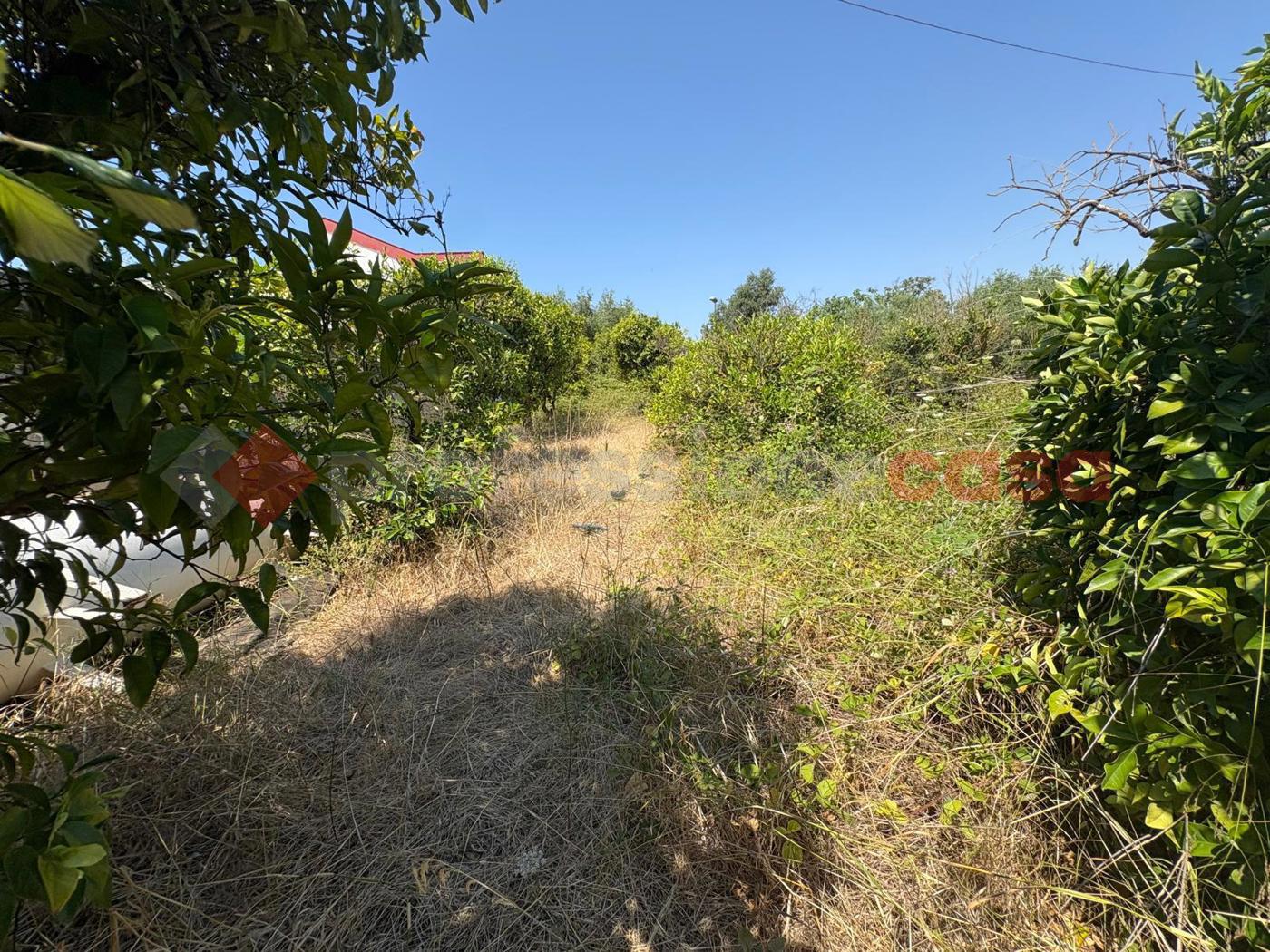 Villa con giardino a Pulsano