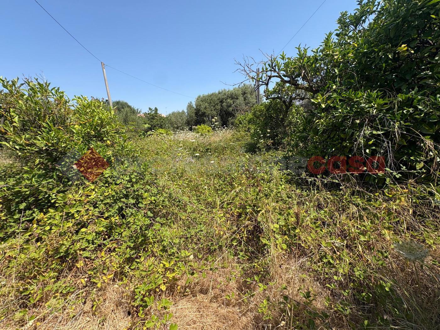 Villa con giardino a Pulsano
