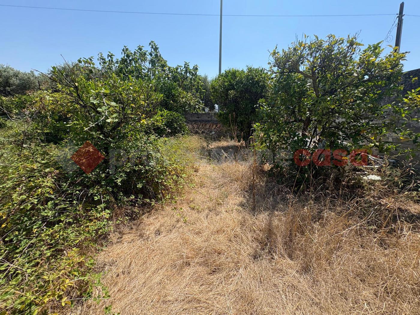 Villa con giardino a Pulsano