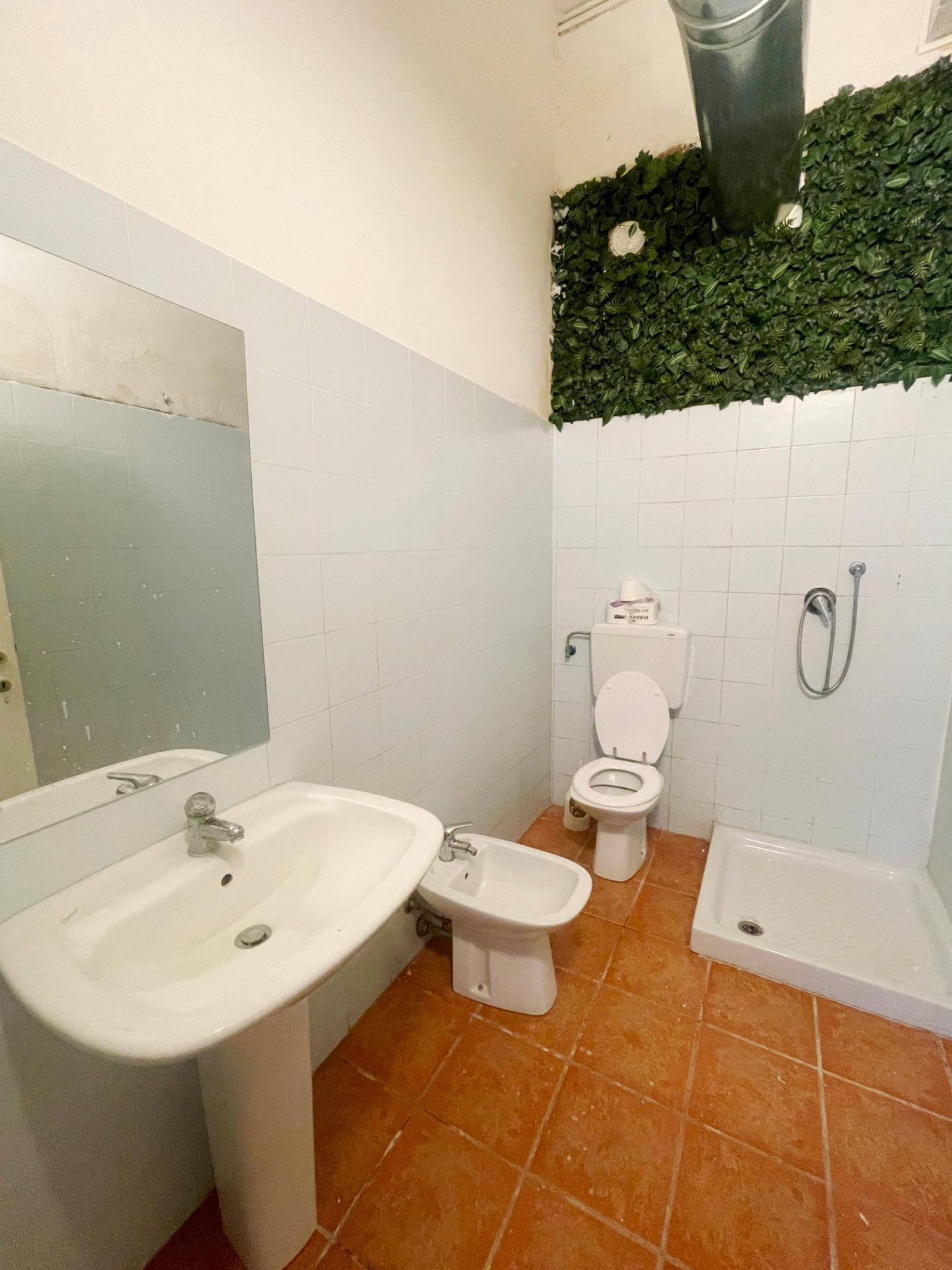 Capannone in affitto a Vicopisano