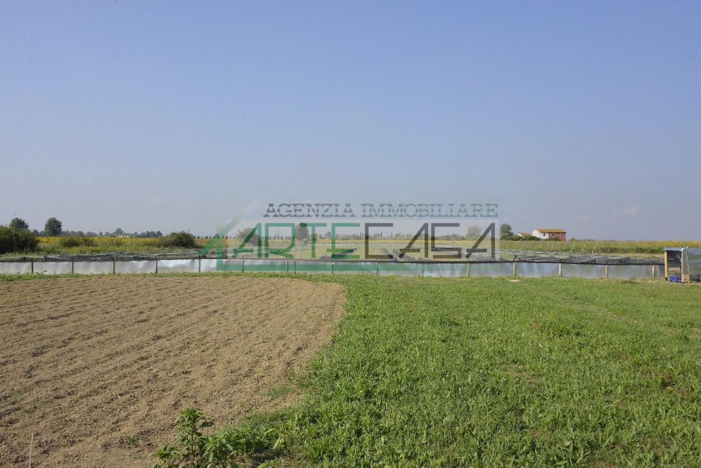 Terreno Agricolo in vendita, Cascina san giorgio