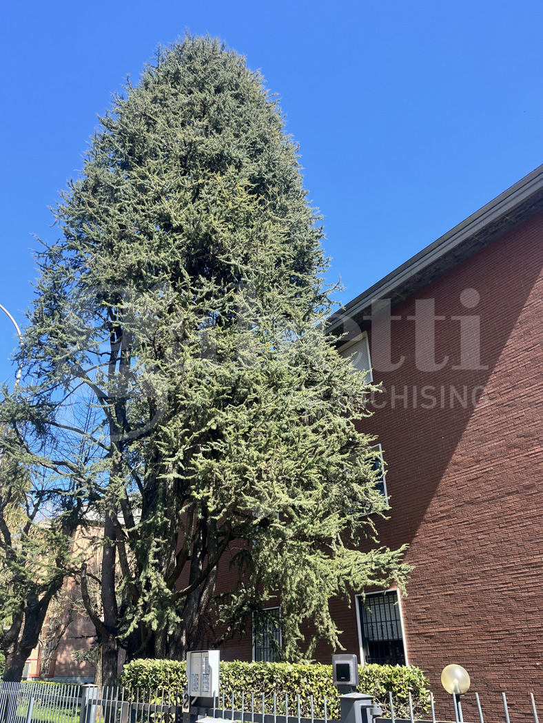 Quadrilocale in vendita a Sasso Marconi