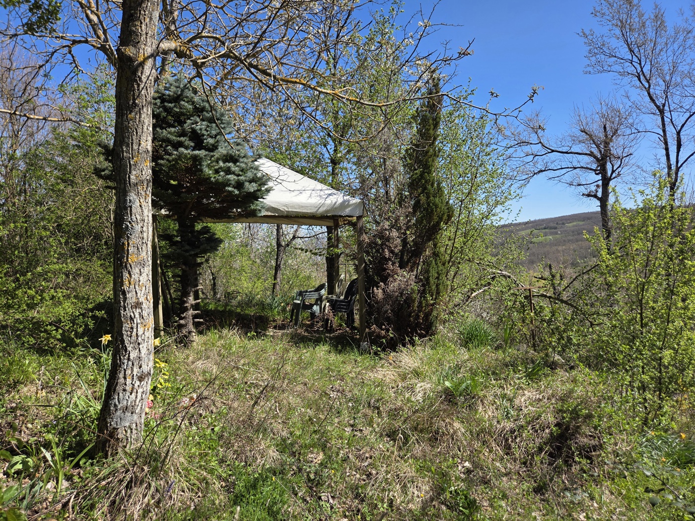 Trilocale con giardino a Camugnano