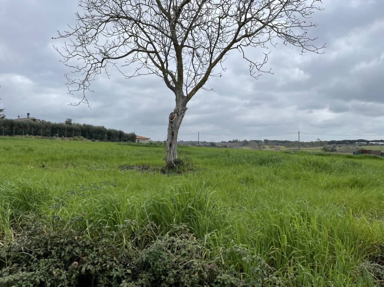 Terreno edificabile in vendita a Roma, Cassia