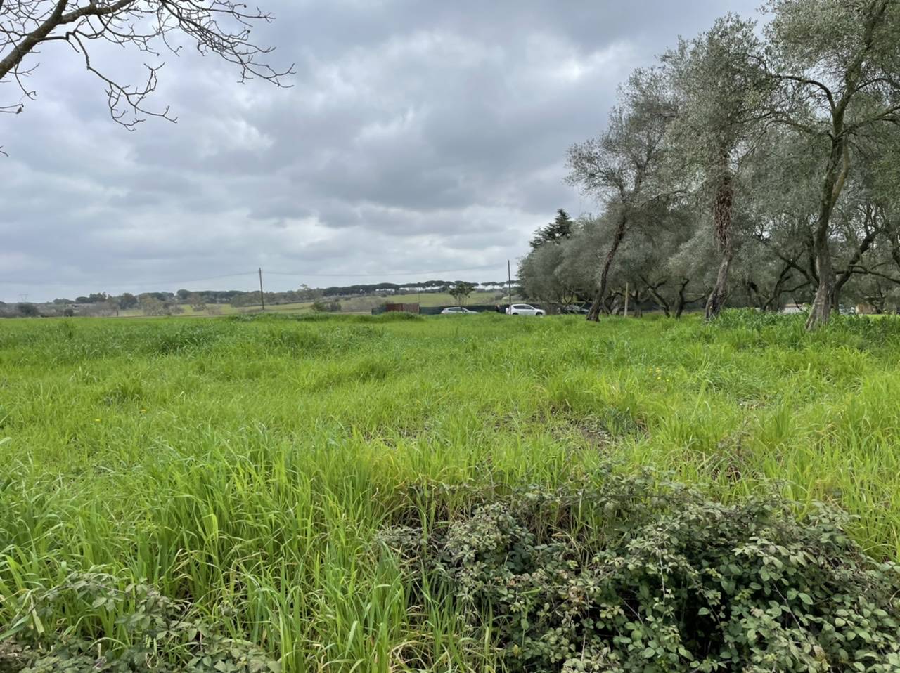 Terreno edificabile in vendita a Roma, Cassia