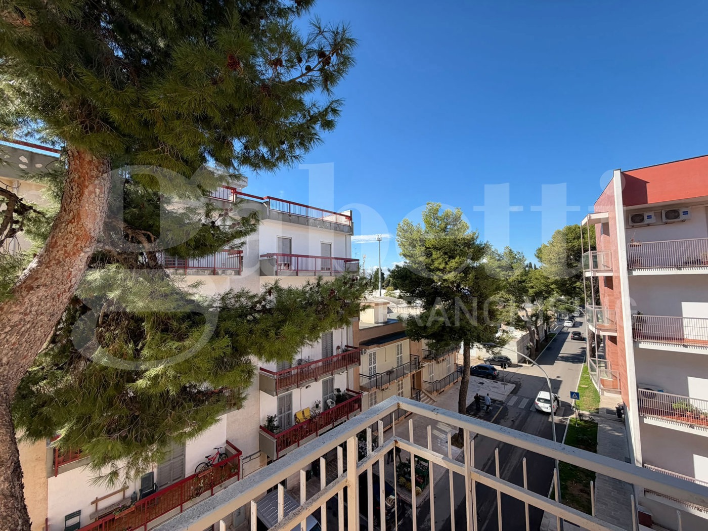 Trilocale in affitto a Bitonto
