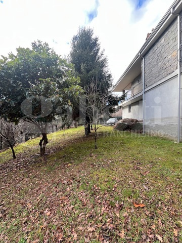 Casa indipendente in vendita a Netro