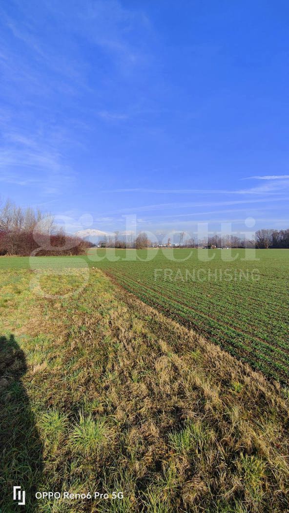 Casa indipendente con giardino a Ponderano