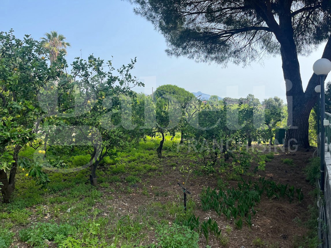 Terreno Agricolo in vendita a Mascali