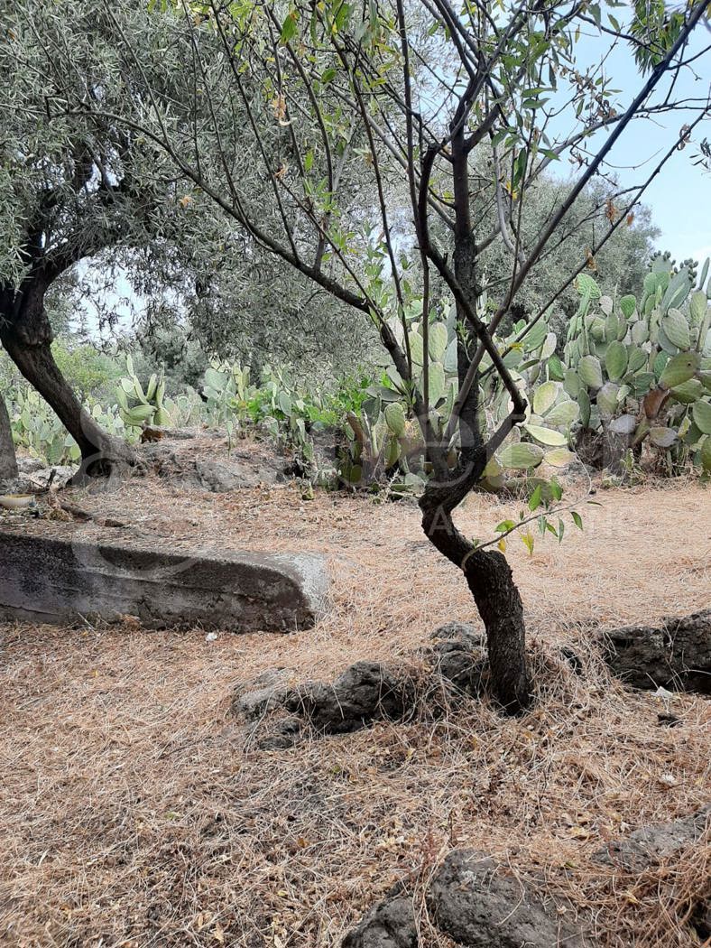 Casa indipendente da ristrutturare a Belpasso